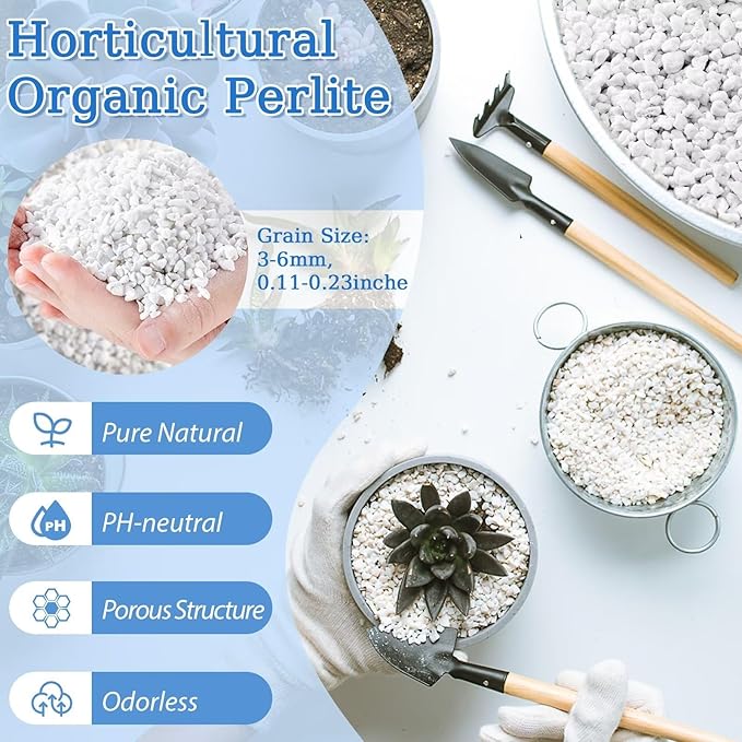 Riare 6 Quarts Organic Perlite for Plants - Horticultural Perlite Soil Amendment for Plants Potting Mix, Natural Chunky Perlite Soil Additive Conditioner Improve Root Growth, Drainage and Ventilation
