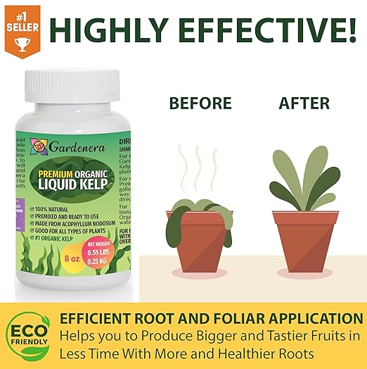 Premium Organic Liquid Kelp Fertilizer by GARDENERA - 8 oz - Unlock The Power of Seaweed Fertilizer for Vegetables, Trees, Lawns, Shrubs, Flowers, Seeds & Plants