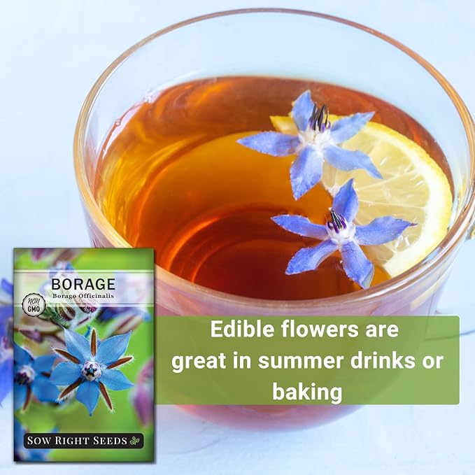 Sow Right Seeds - Borage Seed to Plant - Non-GMO Heirloom Seeds - Full Instructions for Easy Planting and Growing a Kitchen Herb Garden - Indoors or Outdoor - Great Gardening Gift (1)