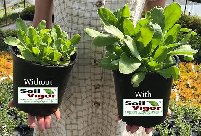 Potassium Polyacrylate for Garden Lasts Up to 7 Years in Soil (2)