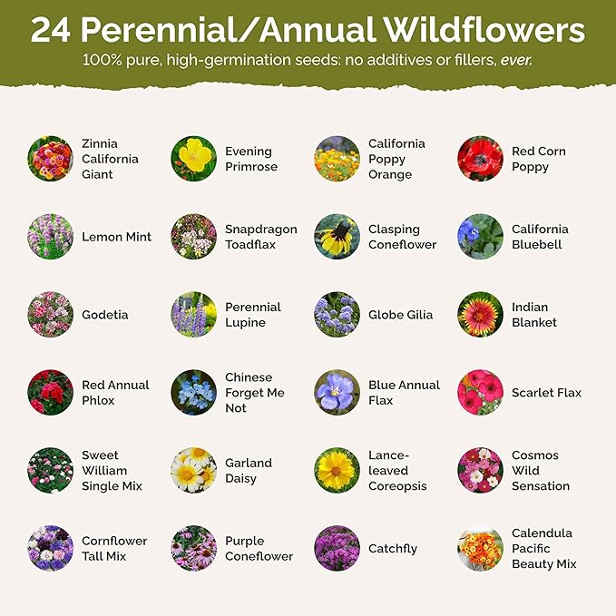 Eden Brothers Heirloom Flower Mixed Seeds for Planting, 1 lb, 480,000+ Seeds with Zinnia, Toadflax, Evening Primrose | Attracts Pollinators, Plant in Spring or Fall, Zones 3, 4, 5, 6, 7, 8, 9, 10