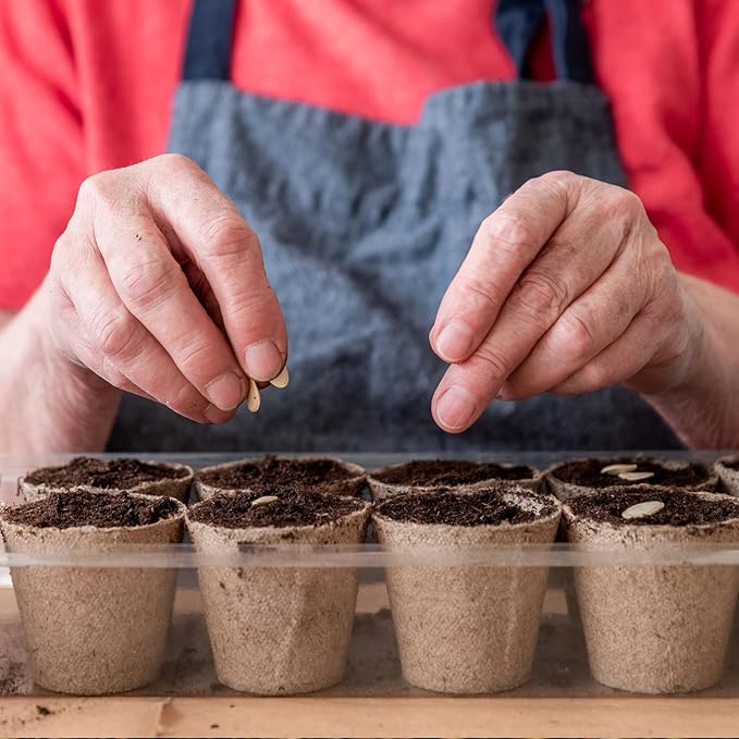 Peat Moss for Plants 1qt, Loam Sphagnum Moss Soil for Gardening, Organic Garden Growing Soil Amendment and Media for Flowers, Vegetables, Herbs, Orchid, Indoor Houseplant