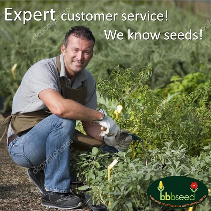 Drought Tolerant Wildflower Seeds - 4oz, Open-Pollinated Bulk Flower Seed Mix for Beautiful Perennial, Annual Garden Flowers - No Fillers - 4 oz Packet