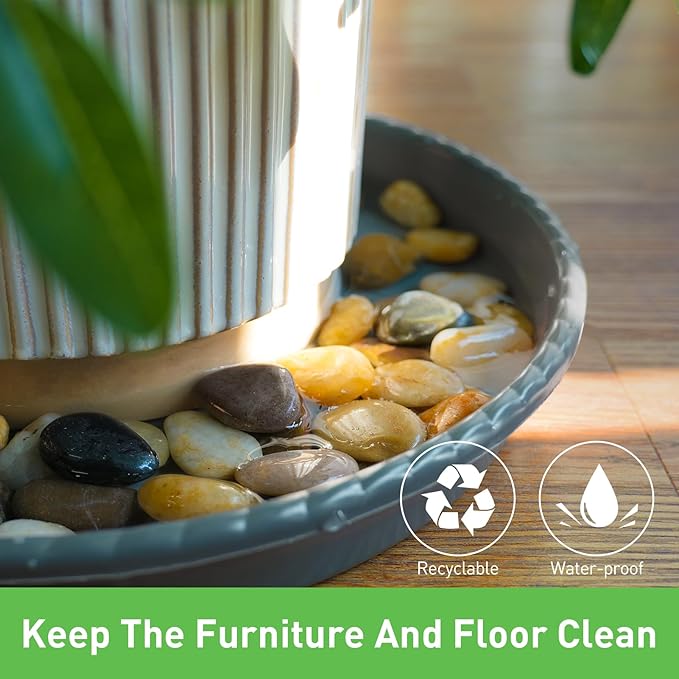 MUDEELA 2 Pack of 12 inch Plant Saucer, Durable Plastic Plant Trays for Indoors, Blue Plastic Flower Plant Pot Saucer, Made of Thicker, Stronger Plastic, with Taller Design