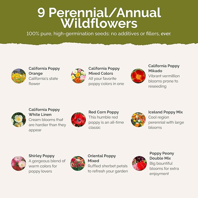 Eden Brothers Poppy Power Flower Mixed Seeds for Planting, 1/4 lb, 120,000+ Seeds with Red Corn, Iceland, California Poppy, Attracts Pollinators, Plant in Spring or Fall, Zones 3, 4, 5, 6, 7, 8, 9, 10