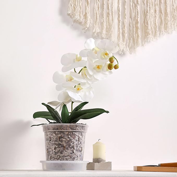 TRUEDAYS 4 Pack Orchid Pot with Saucers, 6 Inch Clear Orchid Pots with Holes, Plastic Planter with Trays, Breathable Slotted Orchids Planters for Indoor Outdoor Plants