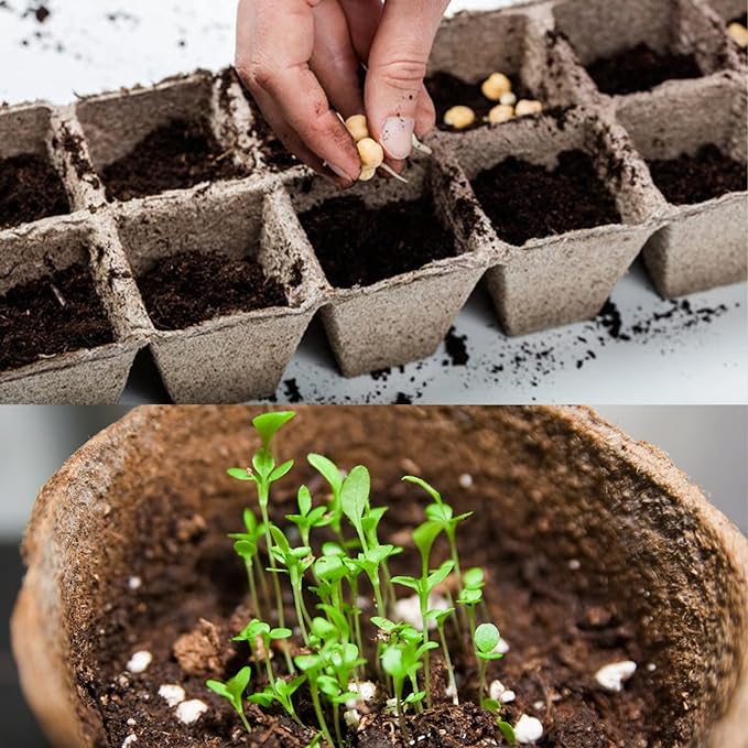 Organic Sphagnum Peat Moss 4qt, Added to Soil and Enriches Plant Roots, Gardening Soil Amendment and Carnivorous Plant Soil Media