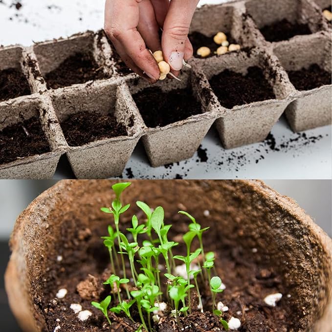 Peat Moss 2qt, Added to Soil and Enriches Plant Roots, Gardening Soil Amendment and Carnivorous Plant Soil Media