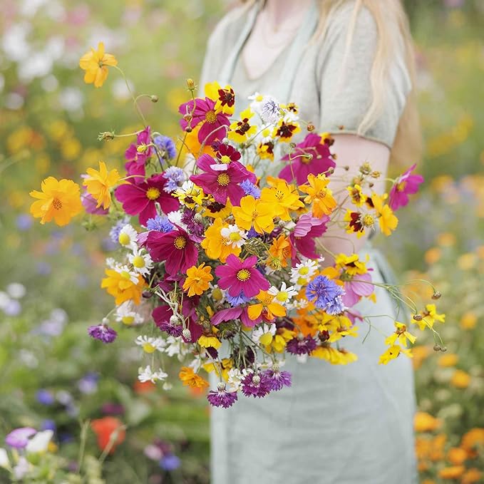 Eden Brothers Midwest Wildflower Mixed Seeds for Planting, 10 lb, 4,800,000+ Seeds with Cornflower, Candytuft, Mexican Hat, Attracts Pollinators, Plant in Spring or Fall, Zones 3, 4, 5, 6, 7, 8, 9, 10