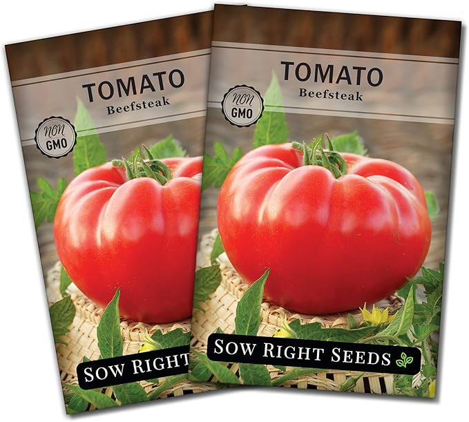 Sow Right Seeds - Beefsteak Tomato Seeds for Planting - Non-GMO Heirloom Packet with Instructions to Plant a Home Vegetable Garden - Indeterminate, Super Large and Bright Red Fruits (2)