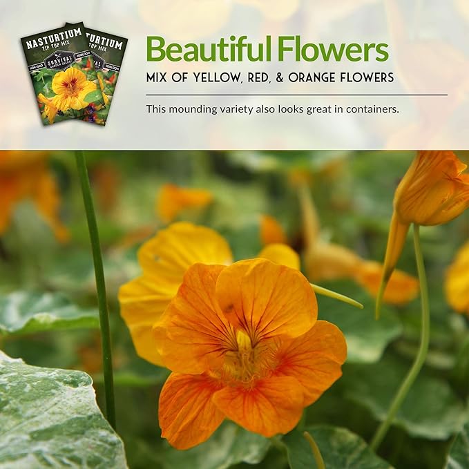 Survival Garden Seeds - Tip Top Mix Nasturtium Seeds - 5 Packs with Instructions to Plant and Grow Edible Flowers & Companion Plants in Your Home Vegetable Garden - Non-GMO Heirloom Variety