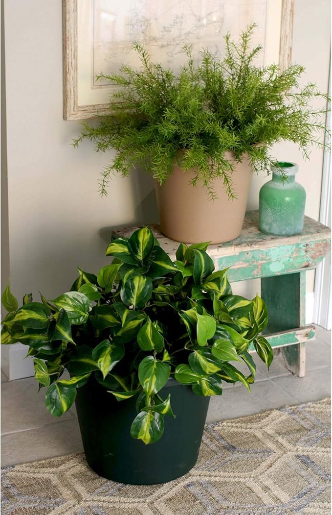 The HC Companies 20 Inch Round Classic Planter - Large Plastic Plant Pot for Indoor Outdoor Plants Flowers Herbs, Chocolate