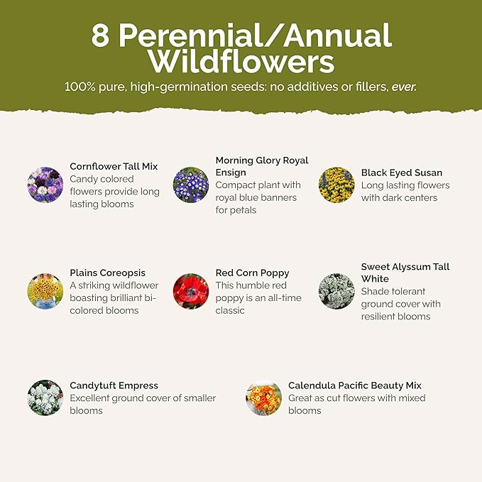 Eden Brothers Flowery Fields Forever Flower Mixed Seeds for Planting, 5 lb, 2,400,000+ Seeds with Cornflower, Candytuft | Attracts Pollinators, Plant in Spring or Fall, Zones 3, 4, 5, 6, 7, 8, 9, 10