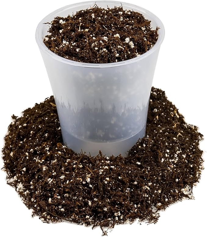 Fern + Perlite Soil Mix for Repotting and Planting Succulents and Cactuses - 5 Quart Bag