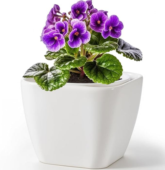 African Violet Pots, 6 Inch Self Watering Pot for Indoor Plants,Ceramic Self Watering Pots,Easy Plant Self Watering Planter for Busy Plant Lovers, Flower Pot with Absorbent Inner Pot - White
