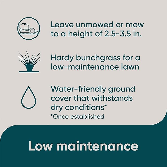 Scotts Pursue Sheep Fescue with Natural Seed, Seeding for Large Areas, 2 lbs. (Pack of 3)