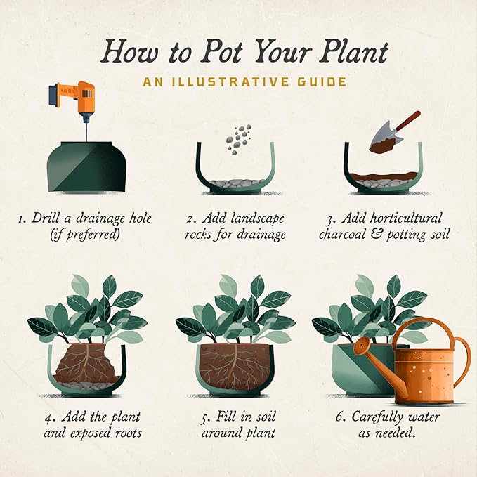 ARBORA 21" Santorini Bowl 2-Pack with Stone Blend Concrete Finish - Polyresin Indoor and Outdoor Planters, Durable, Weatherproof, Lightweight, Large Plant Pots for Patio, Garden, Deck, Entryway