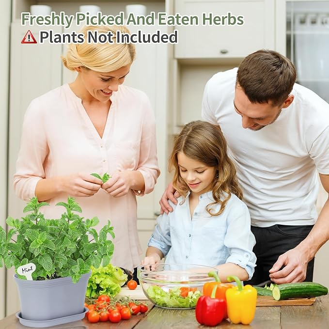 Windowsill Herb Garden Planter with Tray, Set of 6 Grey Oval Farmhouse Garden Pots for Indoor/Outdoor Plants (No Seeds)