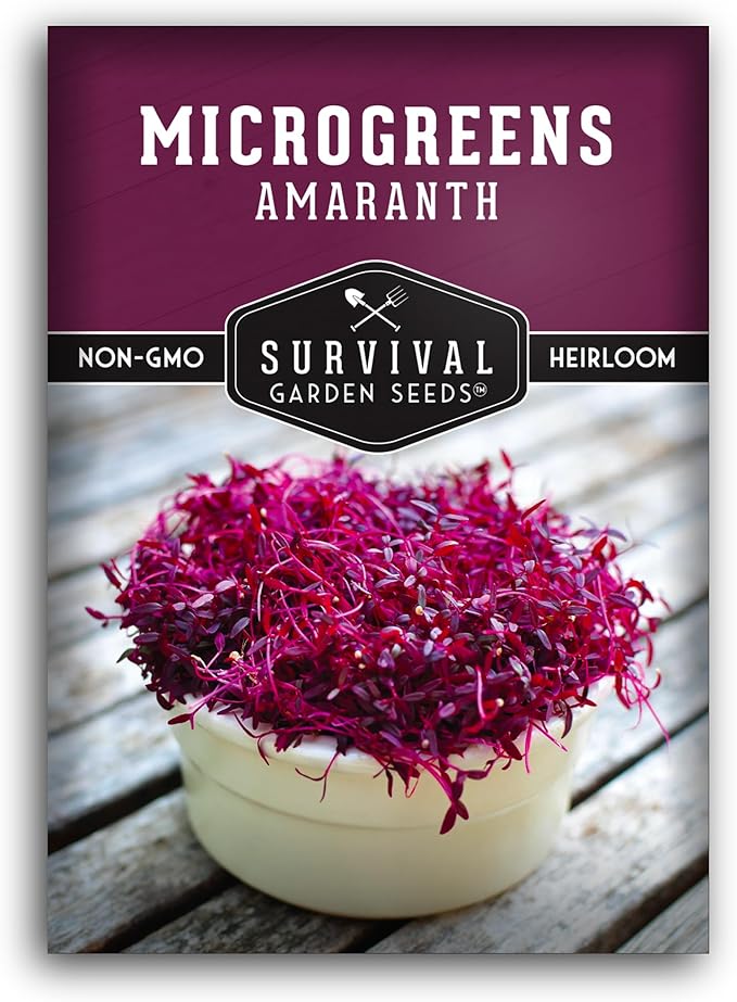 1 Pack Amaranth Microgreens Seeds for Planting and Growing - Plant Green Leafy Micro Vegetable Plants Indoors - Grow A Mini Windowsill Garden - Non-GMO Heirloom - Survival Garden Seeds