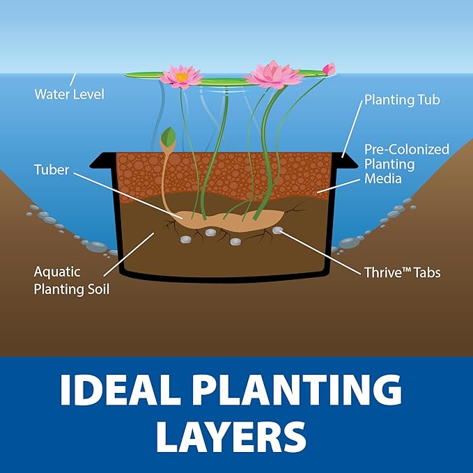 The Pond Guy Planting Tub Kit for Aquatic Plants with Soil & Media, Outdoor Water Garden Planter Pot for Lily, Lotus & Bog Plants, Small Tub Kit