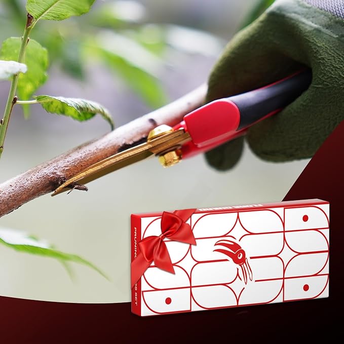 FLORA GUARD Professional bonsai Pruning shear set, long blade pruning scissors and scimitar tip pruning scissors, gold plated titanium flower scissors set, suitable for indoor plants, bonsai