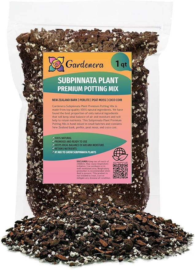 Premium Monstera Subpinnata Potting Mix - Expertly Crafted for Healthy Growth - 1 Quart