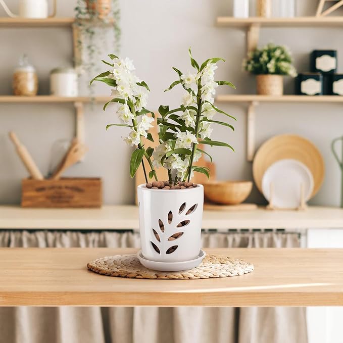 Aulock 4in Ceramic Orchid Pot with Holes - Decorative Orchid Pot Leaf Hollow with Saucer, Excellent Air Circulation, for Dendrobium Oncidium Cattleya Repotting Indoor Outdoor