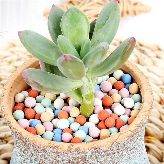 2LBS Clay Pebbles Gardening Ceramsite Orchid Rocks Drainage Water Purification Ceramsite Decor Cultivation Soil Stone Horticultural Grade for Soil Hydroponics Aquaponics