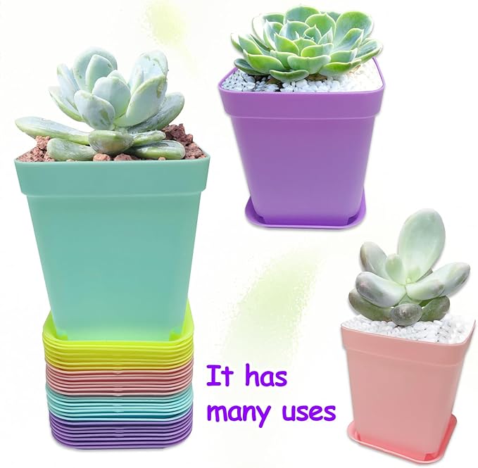 56PCS 3inch Plastic Nursery Pots,Square Plants Seedling Pots,Multicolor Small Transplanting Flower Pots for Indoor Outdoor,Succulents,Office Home Garden and Balcony Decor(8 Colors)