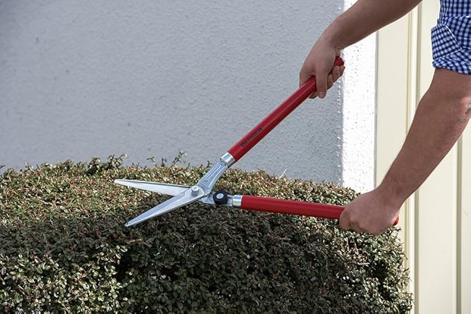 BERGER Boxwood Shears, Self-Sharpening Blade and Beech Wood Handles