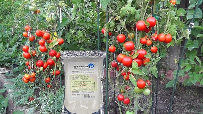 Super Absorbent Polymer Helps Plant Growth and Plant Establishment (2 Pounds)