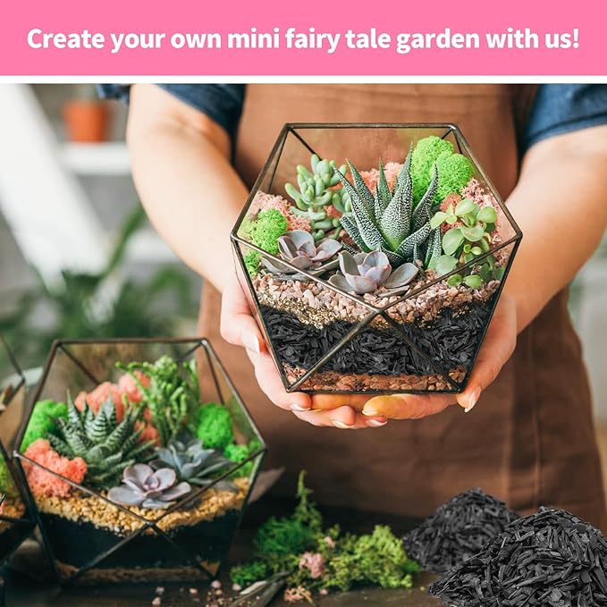 Legigo 12QT All Natural Horticultural Charcoal- Activated Hardwood Plant Charcoal for Soil Amendment, Conditioning Bonsai Soil, Succulent Soil, Terrarium Supplies, Indoor Plant Potting Soil