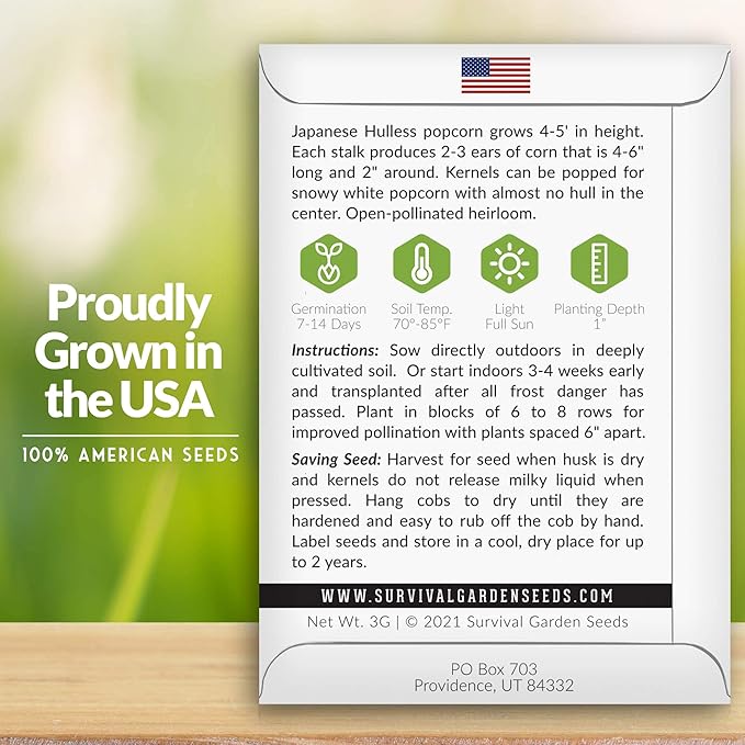 Survival Garden Seeds - Japanese Hulless Popcorn Seed for Planting - 2 Packs with Instructions to Plant and Grow Delicious Kernel Popcorn in Your Home Vegetable Garden - Non-GMO Heirloom Variety