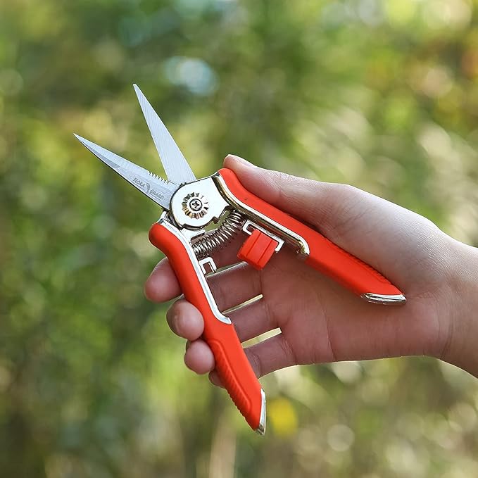 FLORA GUARD 6.5 Inch Micro-Tip Pruning snip Gardening Hand Pruning Shears Trimming Scissors with Stainless Steel(6 pieces