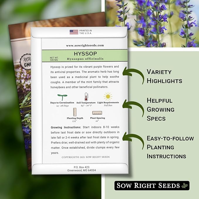 Sow Right Seeds - Hyssop Seed for Planting - Medicinal Herb to Plant in Your Garden - Outdoors - Attracts Pollinators - Stunning Purple Flowers - Non-GMO Heirloom Seeds - Great Gardening Gift (2)