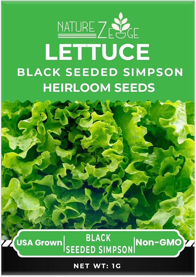 Lettuce Seeds for Planting, Red Romaine Lettuce, Bibb Butter Lettuce, Black Seeded Simpson, Green Ice Iceberg Lettuce, Non-GMO…
