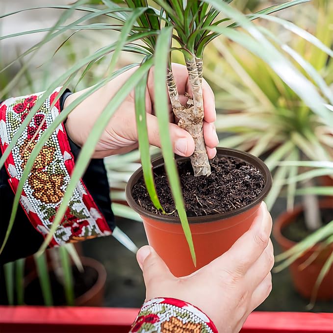 Augshy 150 Pcs 4" Plastic Plants Nursery Pot, Seed Starting Pots for Succulent Seedling Cutting Transplanting