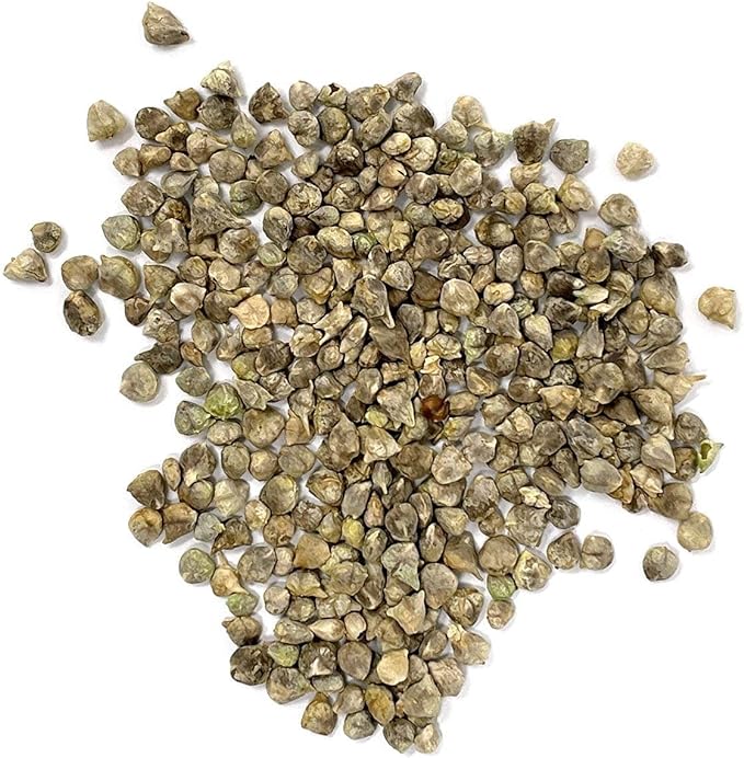 Organic Spinach Seeds (Bloomsdale Long Standing) - Approx 300 Seeds - USDA Organic, Non-GMO, Open Pollinated, Heirloom, USA Origin