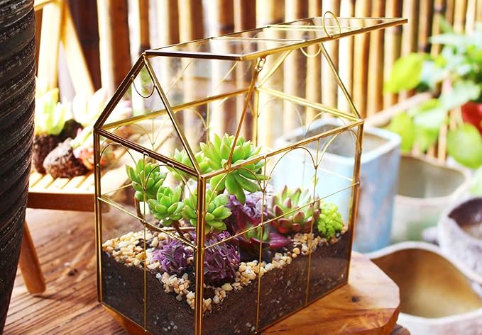 Glass Geometric Plant Terrarium,Succulent & Air Planter for Home Garden Office Decoration (Gold House)