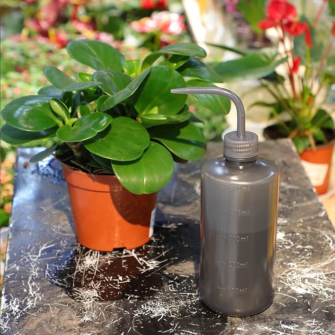 Oubest Squeeze Bottles Succulent Watering Bottle Black Water Squirt Irrigation Bottle Squeeze Sprinkling Can Plastic Wash Plant Bottle 500ml 2pc