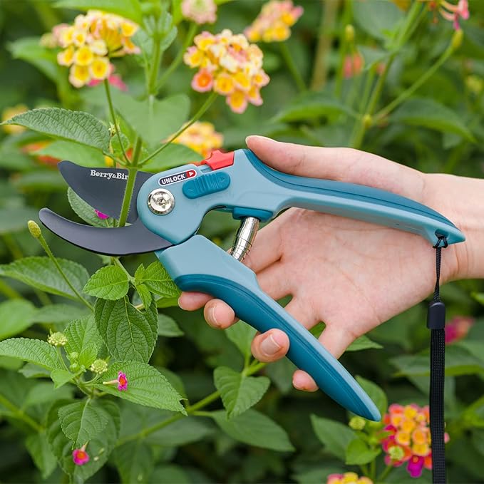 Berry&Bird Garden Pruning Shears, 8.7" Bypass Hand Pruner Shears, Adjustable Size Scissors with SK5 High Carbon Steel Blades, Flower Clippers Secateurs with Safety Lock for Pruning Flowers, Branches