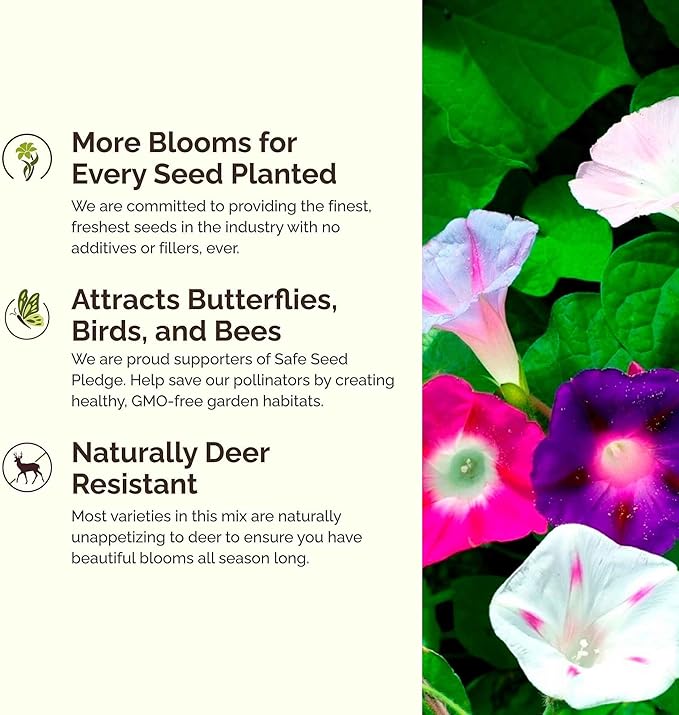 Eden Brothers Top O The Morning Flower Mixed Seeds for Planting, 5 lb, 2,400,000+ Seeds with Morning Glory, Moonflower | Attracts Pollinators, Plant in Spring or Fall, Zones 3, 4, 5, 6, 7, 8, 9, 10