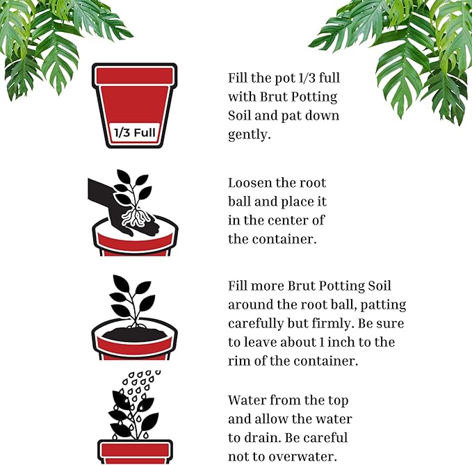 Brut Organic Potting Soil – 1 CF – Everything Your Plants Need in one Bag. Indoor and Outdoor Container Plants. 10 Pack