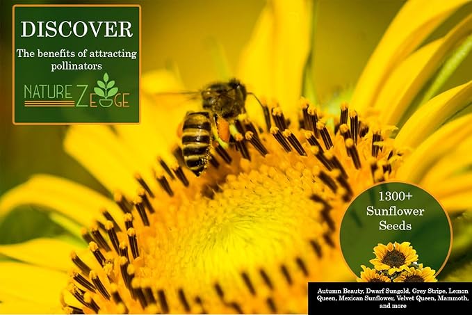 NatureZ Edge 1300+ Sunflower Seeds Garden Variety Pack, Bulk Sunflower Seeds for Planting Flowers, Get More Sunflower Seeds to Plant, Mammoth, Dwarf, Lemon Queen, Giant and More. 2oz Packet