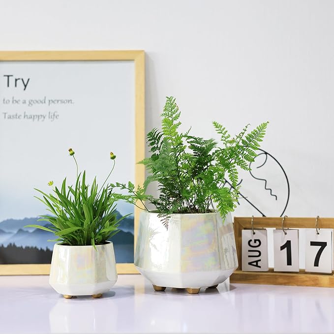 6 Inch + 4 Inch Ceramic Planter for Indoor Plants - Plant Pots with Drainage Hole - Modern Minimalist Flower Pot for Succulents and Herbs