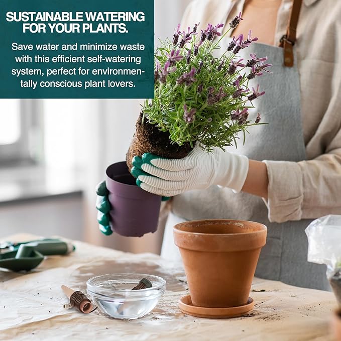 Blumat Classic Plant Watering Stakes - Self-Watering Insert for Indoor and Outdoor Plants - Automatic Slow Release Irrigation System for Potted Plants - Houseplant Care Device (50 Packs)