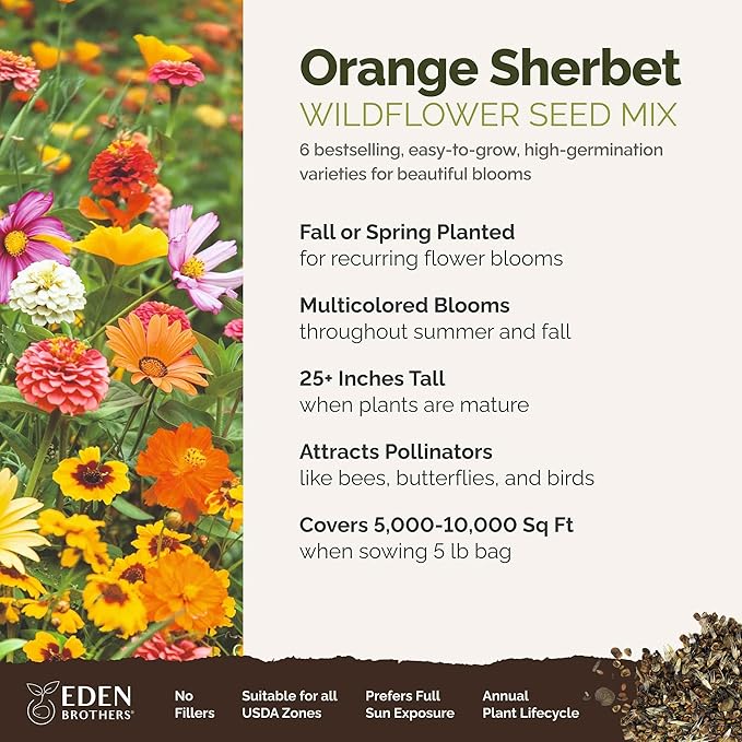 Eden Brothers Orange Sherbet Flower Mixed Seeds for Planting, 5 lb, 2,400,000+ Seeds with Cosmos Picotee, Bright Lights | Attracts Pollinators, Plant in Spring or Fall, Zones 3, 4, 5, 6, 7, 8, 9, 10
