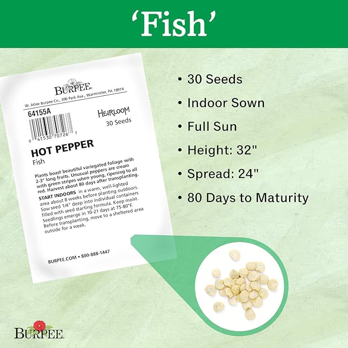 Burpee Fish Hot Pepper Seeds 30 seeds