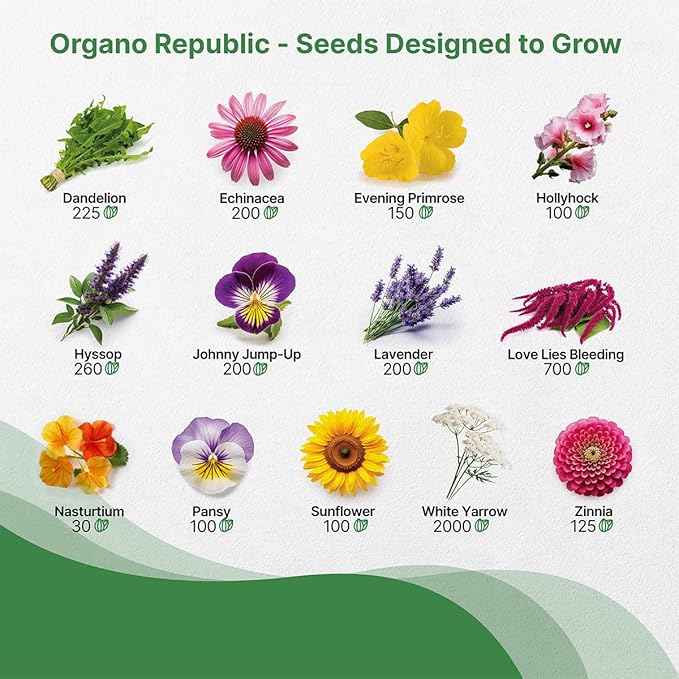 Organo Republic 25 Edible Flower Seeds Variety Pack- Indoor/Outdoor. 8000+ Non-GMO Heirloom: Anise, Hyssop, Nasturtium, Pansy, Echinacea, Lavender, Chives Seeds & More