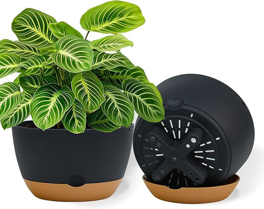 10 Inch Pots for Indoor Plants, Large Self Watering Planters with Drainage and Saucers, Plastic Outdoor Flower Pot, Set of 2, Grey